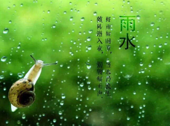 雨水和蜗牛.jpg
